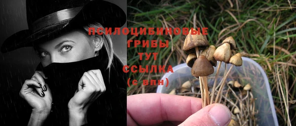 винт Абинск