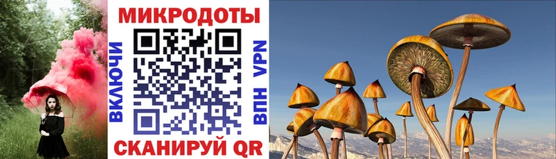 blacksprut как войти  Островной  Псилоцибиновые грибы прущие грибы 